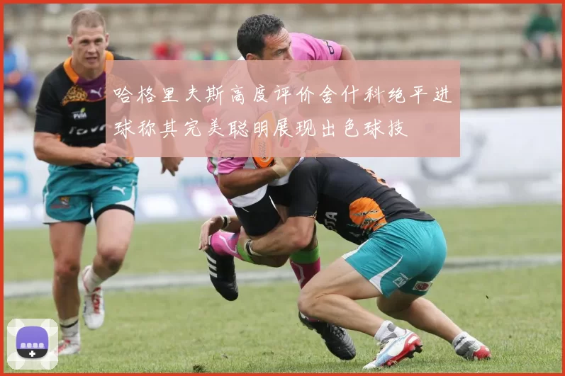 哈格里夫斯高度评价舍什科绝平进球称其完美聪明展现出色球技